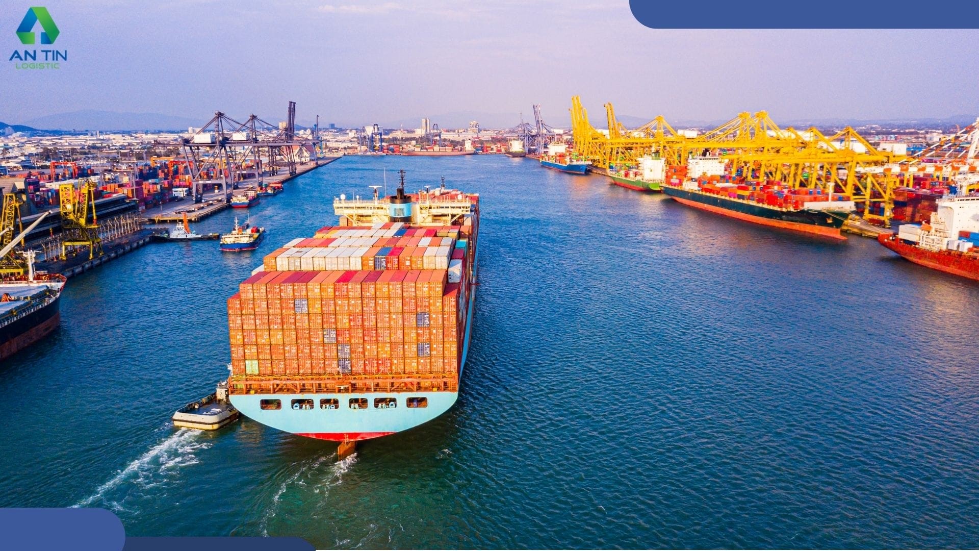 NVOCC là một loại doanh nghiệp vận tải biển