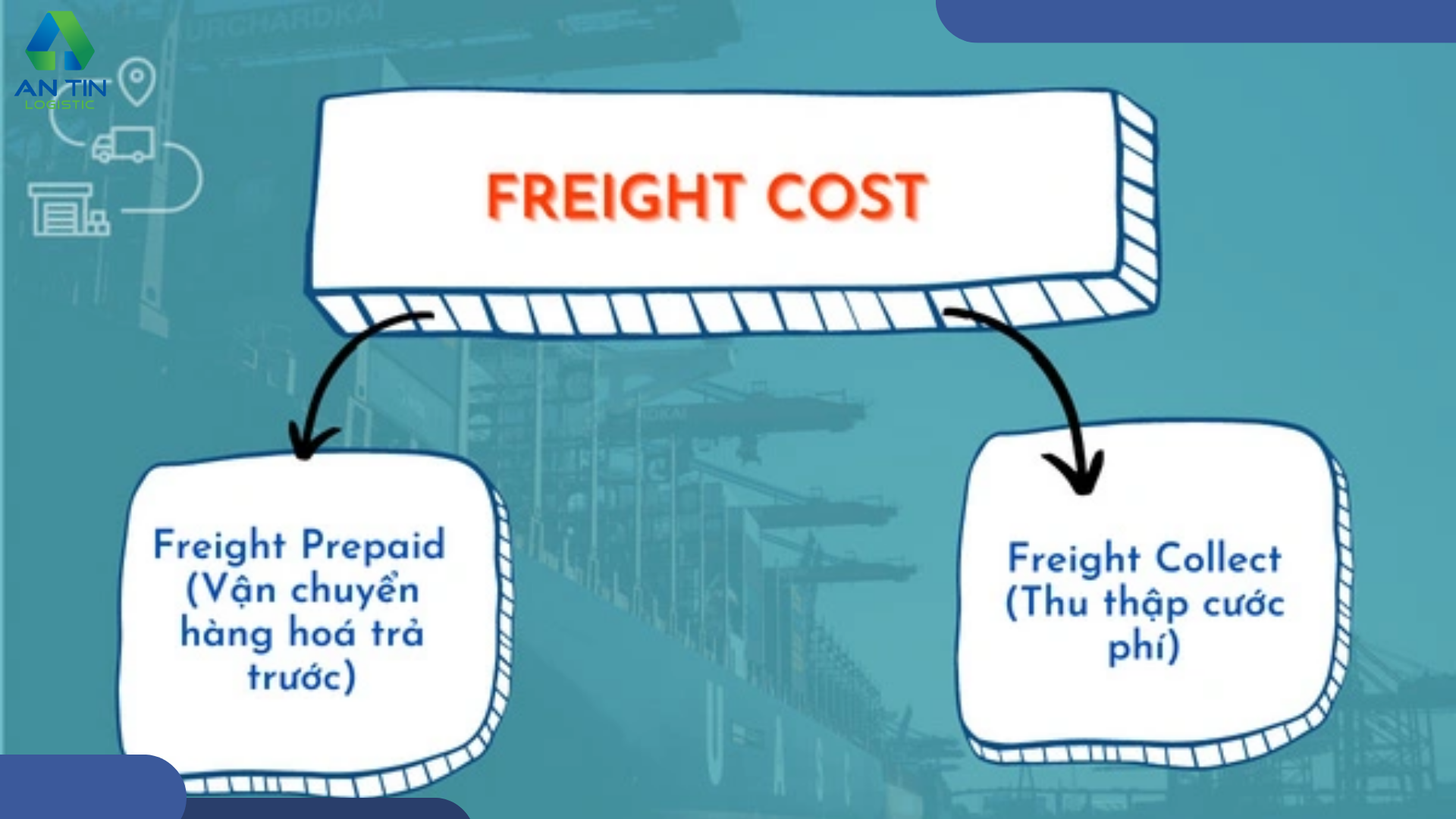 Các loại Freight Cost chính hiện nay
