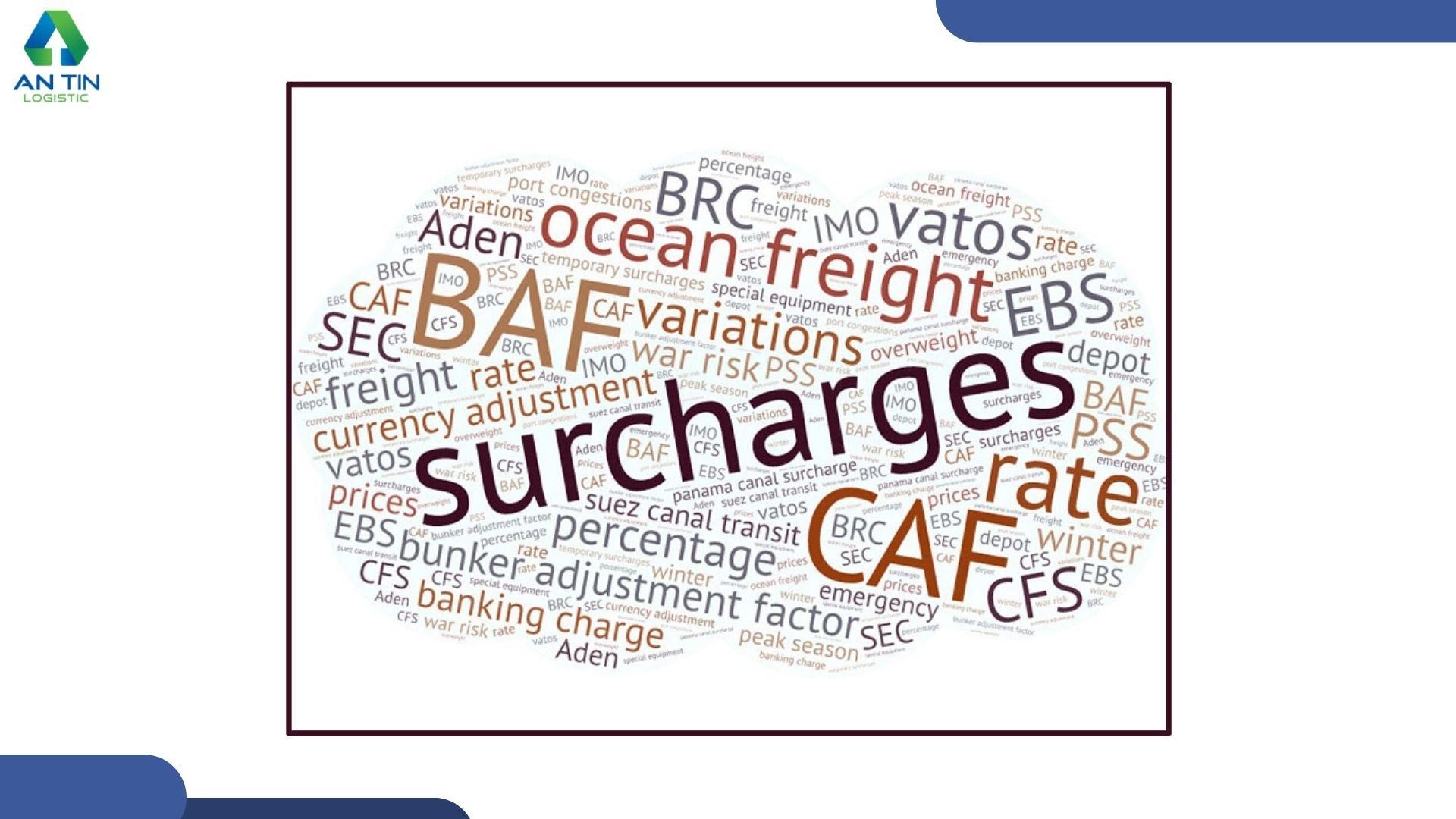Tổng hợp ý nghĩa của các loại phí và phụ phí trong vận tải đường biển
